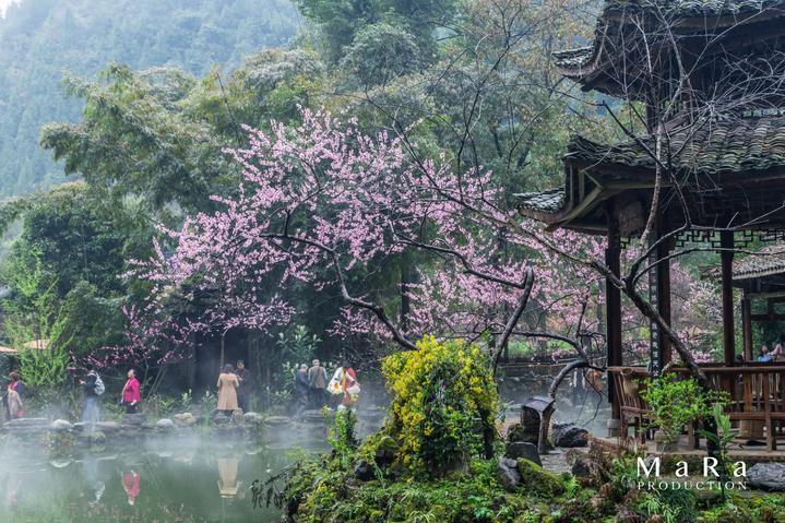市经开区与中车株洲电力机车研究所有限公司签订项目合作协议 杨猛李东林宋华英等出席仪式